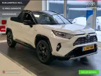 Toyota RAV4 2.5 Hybrid Bi-Tone