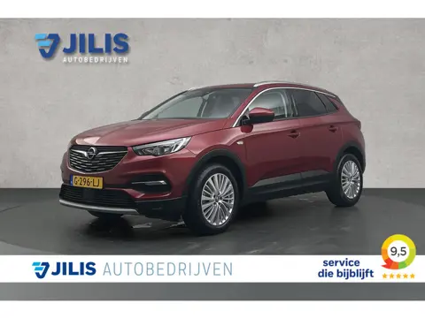 Opel Grandland X 1.2 Turbo Business Executive | Trekhaak | Half lederen bekleding | Camera