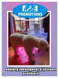 verhuur ijszetel ijstroon frozen den haag wassenaar info@winterdecoratieverhuur.com