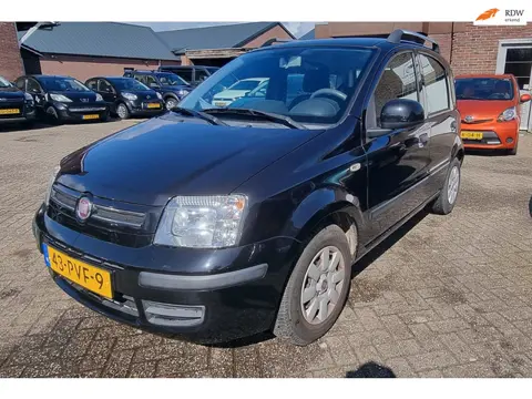Fiat Panda 1.2 Edizione Cool