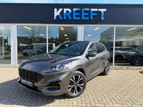 Ford Kuga 2.5 PHEV ST-Line X HUD | Winterpakket (bj 2021)