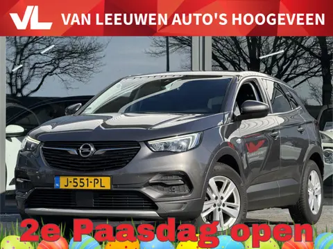 Opel Grandland X 1.2 Turbo Business Executive | Trekhaak | Volle auto! | RIJKLAAR