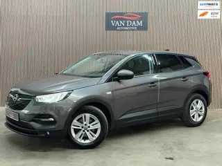 Opel Grandland X 1.2 Turbo Business Executive 2020 LED CRUISE NAVI