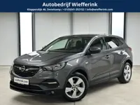 Opel Grandland X 1.2 Turbo Online Edition + | Navi | Winter pakket | Trekhaak |