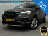 Opel Grandland X 1.2 Turbo Business Executive AUTOMAAT PANODAK 2X-PDC CARPLAY LMV