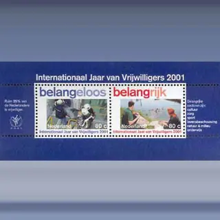 Vrijwilligerswerk (blok) (2001)