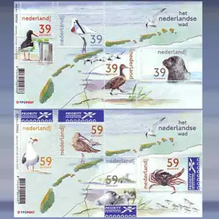 Het Nederlanse Wad (2003)