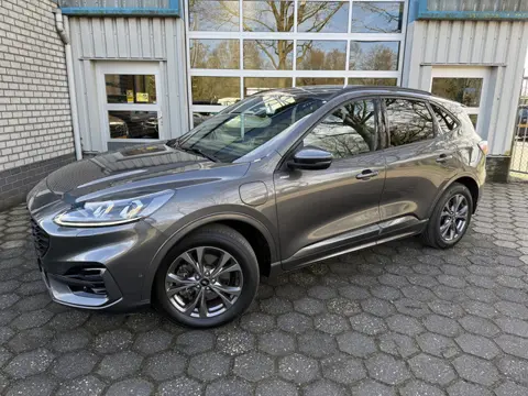 Ford Kuga 2.5 PHEV ST-Line X (bj 2020, automaat)
