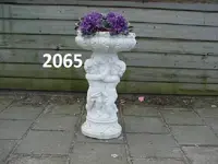 Gruppo carpi plantenbak.