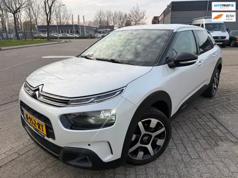 Citroen C4 Cactus 1.2 PURETECH SHINE 2019 SPORT AUTOMAAT CAMERA LED CARPLAY