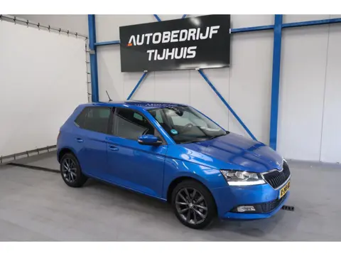 Skoda Fabia 1.0 TSI Business Edition - N.A.P. Airco, Cruise, Carplay.
