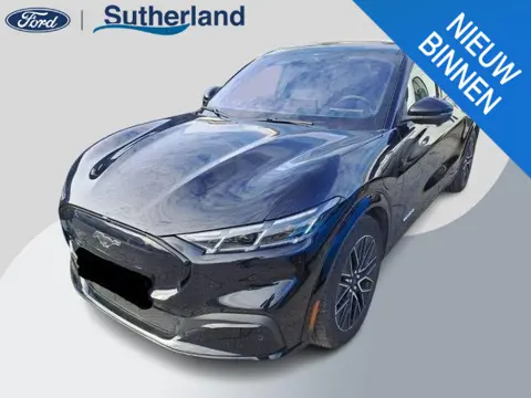 Ford Mustang Mach-E Premium AWD 75 kWh 315pk | Panoramadak | Winter Pack | Achteruitrijcamera | Elek