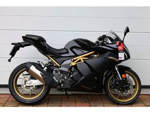 Yamaha YZF R125 TRMOTOR 125 GP-ONE [A1 A2] (bj 2025)