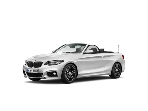 BMW 2 Serie Cabrio 220i M-Sport | Camra | 18" | Hifi | High Executive