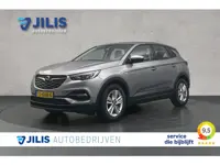 Opel Grandland X 1.2 Turbo Online Edition | Cruise control | Apple Carplay | Lichtmetalen velgen