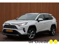 Toyota RAV4 2.5 Hybrid AWD Business Plus org.NL trekhaak camera el.klep leer+el+verw.