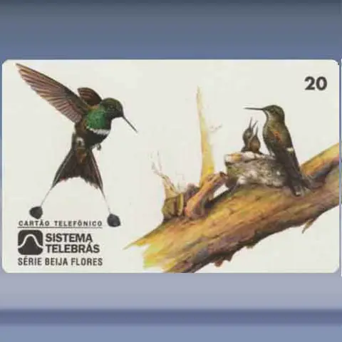 Fauna - Vogels (1997)