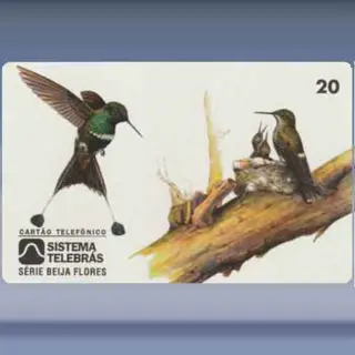 Fauna - Vogels (1997)