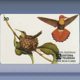 Fauna - Vogels (1997)