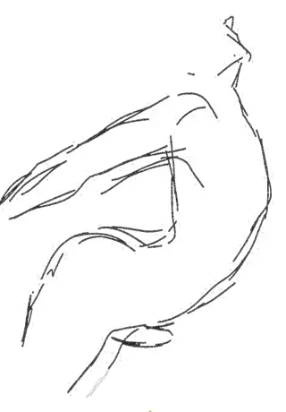 op zoek naar een vriend