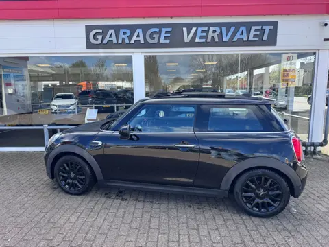 MINI Mini 1.5 Cooper Pepper Serious Business (bj 2017)