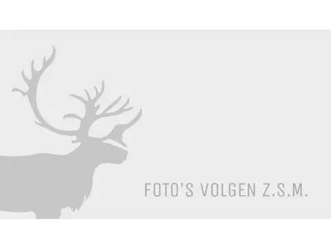 Saab 9-3 Sport Sedan 1.8t 150pk Intro Edition Automaat | Schuif-/kanteldak |