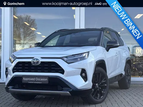 Toyota RAV4 2.5 Hybrid AWD Style