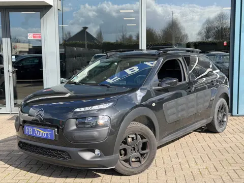 Citroen C4 Cactus 1.2 PureTech Feel Edition Airco Lmv Cruise Pano