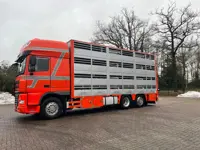 DAF XF 105 Berdex 1/2/3/4 livestock veewagen type2