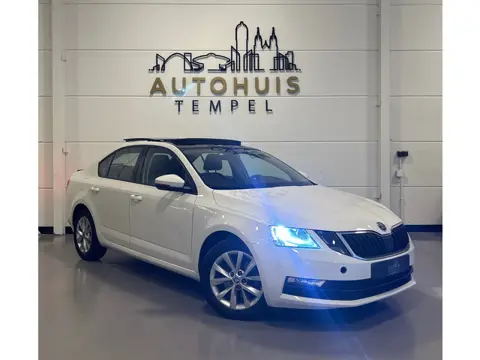 Skoda Octavia 1.0 TSI Greentech Ambition NAP Airco Panoramadak Pdc Cruise Climate Apple Carplay Led 