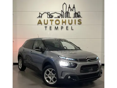 Citroen C4 Cactus 1.2 PureTech Shine Automaat Airco Camera Carplay Parkeersensoren Cruise Isofix