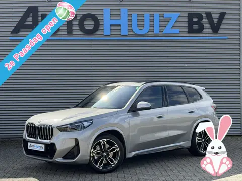 BMW X1 sDrive20i M Sport Panoramadak Stuurwielverwarming Massage 19 Inch Keyless Entry ACC Harman-Ka