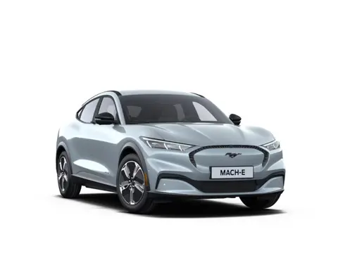 Ford Mustang Mach-E Standard RWD 73 kWh | 470 km WLTP | Uit voorraad leverbaar | Fiscaal aantrekkeli