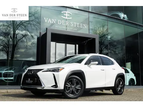 Lexus UX 250h Business Line | Groot Scherm | Camera