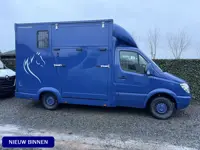 Mercedes-Benz Sprinter PAARDENWAGEN | HORSETRUCK | TVW | CLASSIC 3XL | 2009 | CLASSIC | MANUEEL | 3-