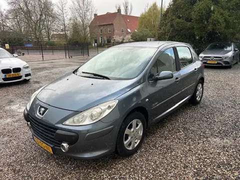 Peugeot 307 1.6-16V Oxygo AUTOMAAT !TREKHAAK!