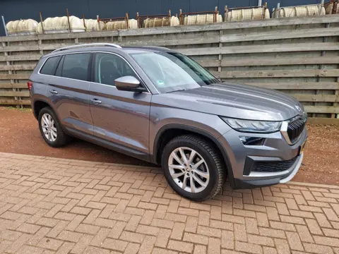 Skoda Kodiaq 1.5 TSI Business Edition 7 Persoons, Trekhaak