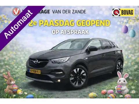 Opel Grandland X 1.2 AUT Turbo Innovation, Camera, Cruise, Navi!