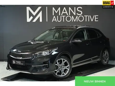 Kia XCeed 1.4 T-GDi ExecutiveLine / PANO / MEMORY / LEDER / CAMERA / KEYLESS