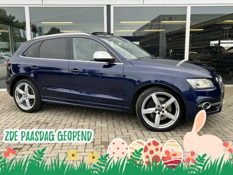 Audi Q5 3.0 TDI SQ5 quattro Pro Line Schuif-kantel dak / Elek. klep / Dode hoek assist / Camera / Ha