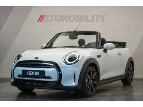 MINI Cabrio 1.5 Cooper | H/K | HuD | Camera (bj 2023)