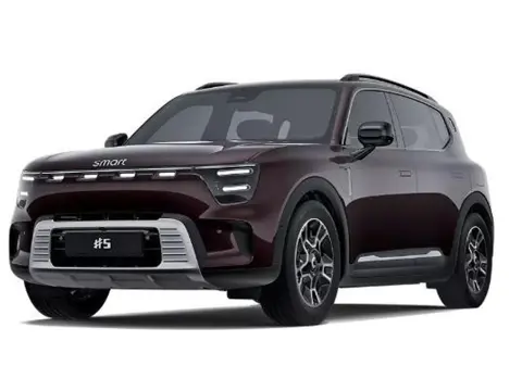 smart #5 Pro+ 100 kWh LENTE DEALS | Van € 53.460,- voor € 43.460,- | Panoramadak | Elektrische stoel