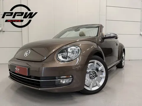 Volkswagen Beetle Cabriolet 1.4 TSI DSG 70's Edition TOFFEE BROWN/BEIGE LEER/18"CHROME/STOELVERW/NAV