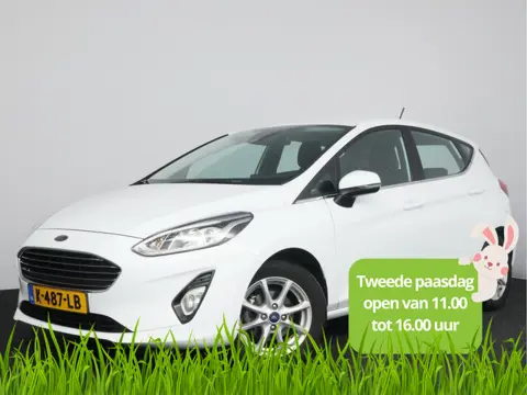 Ford Fiesta 1.0 EcoBoost Titanium | Climate Control | Parkeersensoren