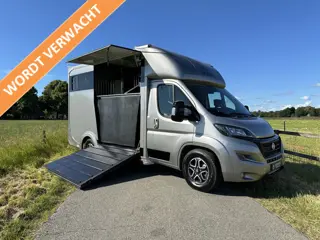 Fiat Ducato 2-paards paardenvrachtwagen B-rijbewijs NIEUW Automaat