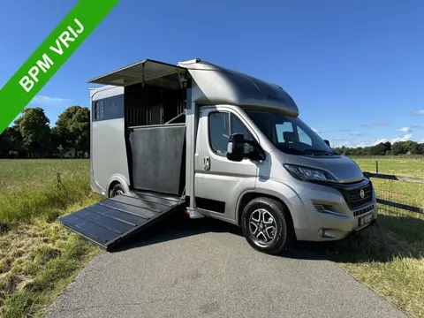 Fiat Ducato 3,65T C-rijbewijs 2-paards paardenvrachtwagen Automaat