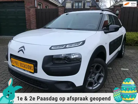 Citroen C4 Cactus 1.2 PureTech Feel HOGE INSTAP CLIMA CRUISE