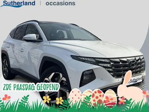 Hyundai Tucson 1.6 T-GDI PHEV Premium Sky 4WD | Panoramadak | Dealer onderhouden | Leder | Achteruit