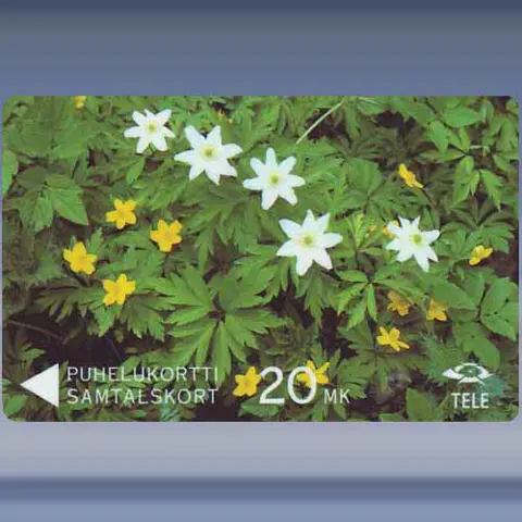 Wood and Yellow Anemones (1991)