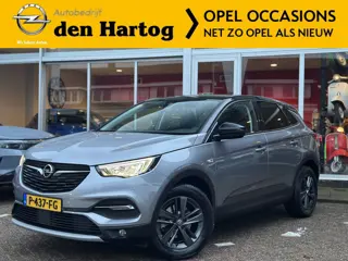 Opel Grandland X 1.2 Turbo Business Edition Trekhaak/Winterpaket/All season.